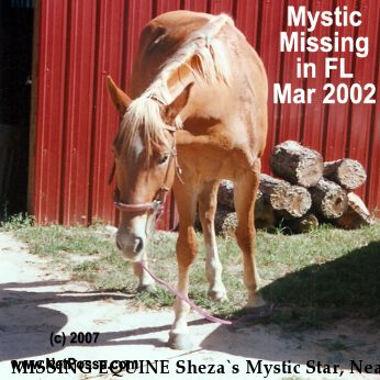 MISSING EQUINE Sheza`s Mystic Star, Near Holt, FL, 32539